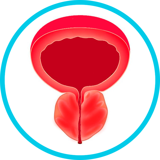 Symptômes de la prostatite